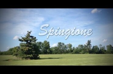 Spingione Sicilian Bread