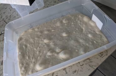 24h bulk ferment dough