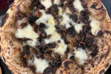 This week’s batch.