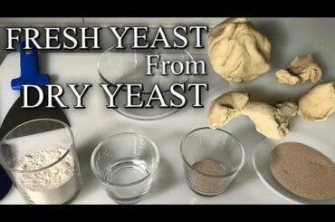 Homemade "fresh yeast"