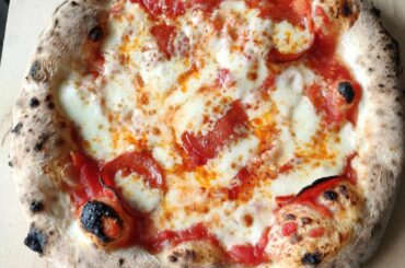 Couple from tonight's tea..24hr room temp Caputo Blue.