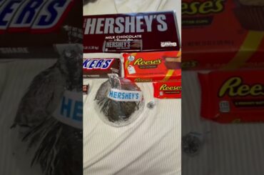 Eating only the worlds biggest candy bars for the whole day! #shorts #candy #chocolate