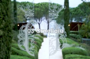 TUSCAN WINE TOURS | Top 5 Best Vineyards for Wine Tasting in Florence & Tuscany, Italy [Fall 2022]