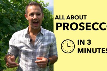 Prosecco - All About the Sparkling White Wine from Prosecco, Italy