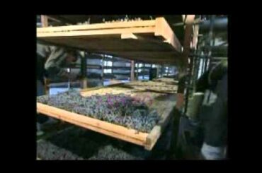 Wine Region of the Year: Valpolicella, Italy