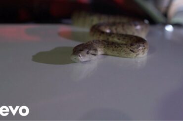 Invincible Dan, Quada - Snake Wine (Official Video)