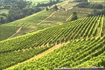 Nicks Wine Journal - Piedmont, Italy