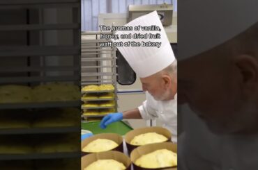 How master Italian bakers create the perfect panettone #shorts