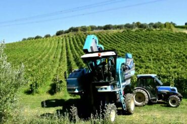Tuscany Italy, wine... wine....
