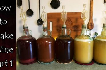 Wine Making: Part 1
