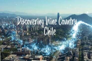 12 days of Wine 2022, Global Wine Edition Day 11 VistaMar 2020 Reserva Carmenere