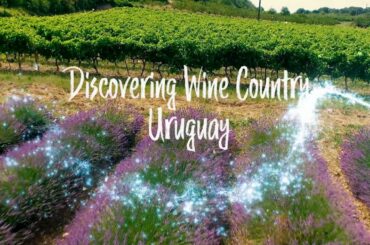 12 days of Wine 2022, Day 9 Pisano RPF Tannat 2017 Reserva Personal de la Familia