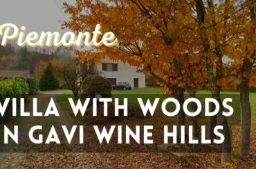 Energetically independent villa for sale in the wine hills of Alto Monferrato - Gavi - Italy