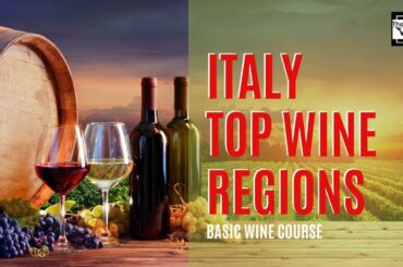 Wine Regions in Italy and their top wines. Basic Wine Course.