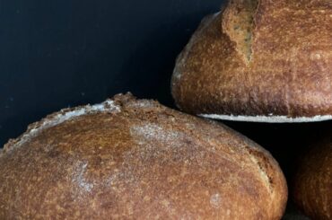 Forno Madre Fabriano