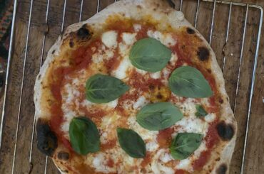 Same Sourdough Recipe but always looking different.