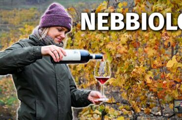 Wine Grapes 101: NEBBIOLO (the Grape Behind Barolo & Barbaresco)