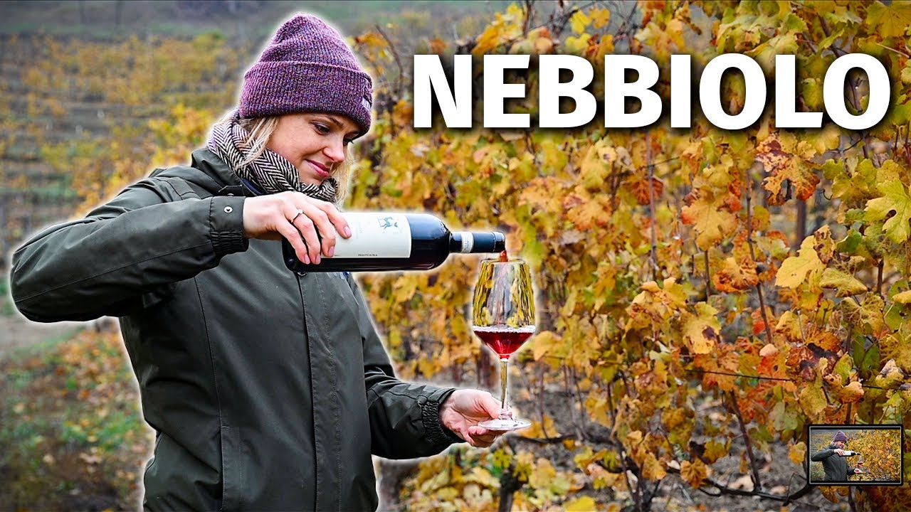 Wine Grapes 101: NEBBIOLO (the Grape Behind Barolo & Barbaresco) Wine Grapes 101: NEBBIOLO (the Grape Behind Barolo & Barbaresco)