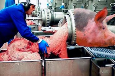 Foods You Will Never Eat Again After This Video