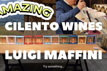 Do You Know Wines from Cilento | Luigi Maffini | Discover Cilento in Campania Region