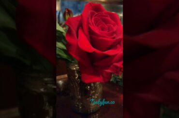 Fabulous Coco Pazzo Italian food and drinks. Happy New Year!