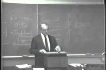 Italian Wines and Vermouth