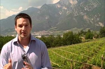 Nick's Wine Journal - Trentino, Italy