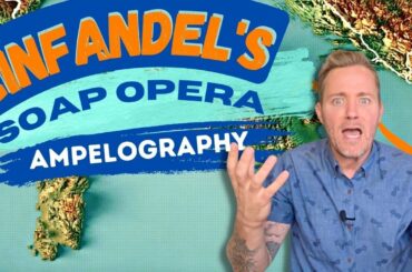 Zinfandel's Soap Opera Ampelography || #216 Feudi di S Gregorio Primitivo || HanDrinksSolo Wine Club