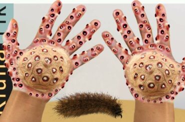 KLUNA TIK 2020 - YUMMY TRYPOPHOBIA HAND FULL OF HOLES | Horror Eating