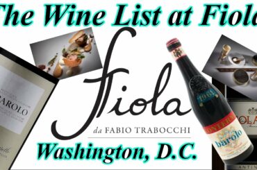 The Wine List at Fiola, Washington D.C. Michelin Star, Modern Cuisine, and Italian Wine for days!