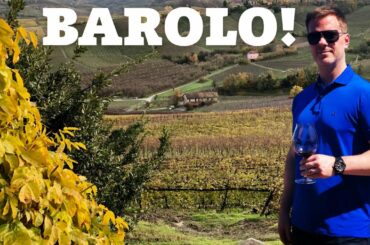 Wine Collecting: BAROLO Overview & 7 Top Barolo Wine Producers