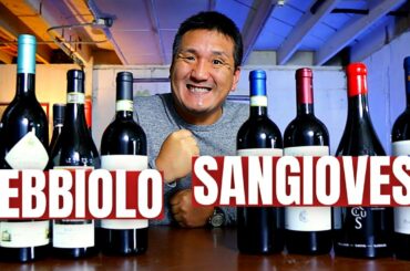 BLIND Tasting the TWO GREATEST Italian Red WINE Grapes!!!