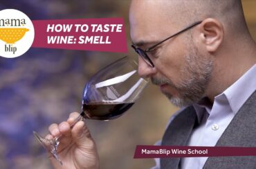 How to taste Wine: smell