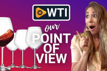 Our Point of View on Bormioli Rocco 18oz Wine Glasses | Our Point Of View