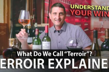 What is Terroir in Wine? An Essential Wine Concept Explained!