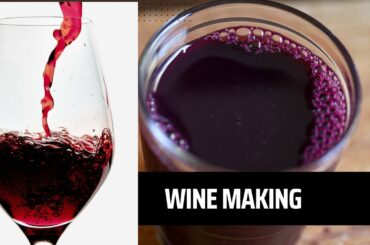 Making wine at home is easier than you think : Here is how to do it