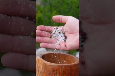 Pasta Carbonara ala creme: NOT the authentic Italian Recipe
