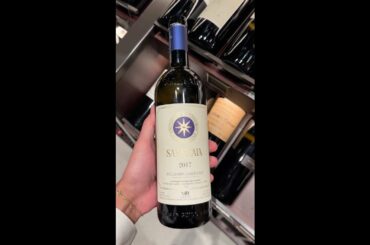 The Best Wine in Italy | Sassicaia
