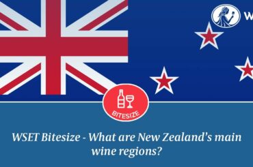 WSET Bitesize - What are New Zealand's main wine regions
