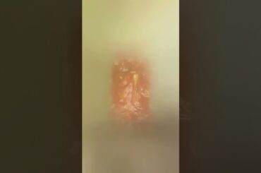 Italian Recipes- Crabs in Marinara #cooking #cookingvideo #foodie #italian #italianfood #homecook