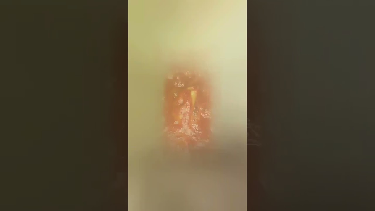 Italian Recipes- Crabs in Marinara #cooking #cookingvideo #foodie #italian #italianfood #homecook Italian Recipes- Crabs in Marinara #cooking #cookingvideo #foodie #italian #italianfood #homecook