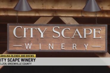 Carolina Blends and Brews: City Scape Winery