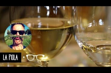 RESTAURANT LA PIOLA - ITALY, ALBA