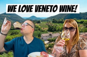 We Found The Perfect Day Trip From Venice Italy! - Wine Tasting in the Veneto Hills