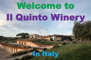 Welcome to Il Quinto Winery in Italy | Ubik Architecture