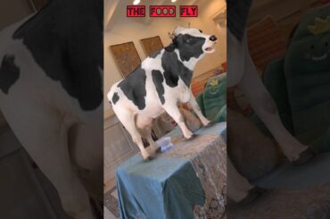 Wow Cooking #youtube #youtubeshorts #shorts #short #ytshorts #trending #viral