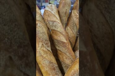 Chicken Parm - Italian Chef and Sommelier travel to Connecticut