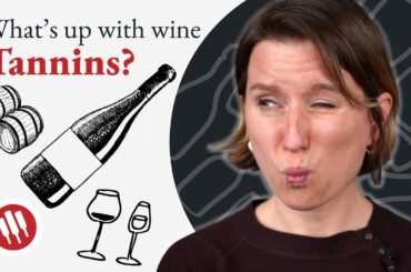 Are Tannins Wine's Little Miracle? | Wine Folly