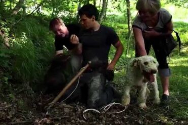 hotel restaurant vecchio convento Italy