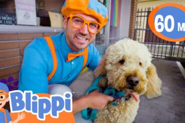 Caring After Pets - Cute Animals in the Shelter | Blippi | Educational Kids Videos | Moonbug Kids